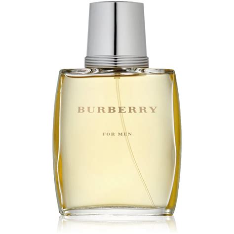 mens cologne that smells like burberry classic|cologne similar to burberry touch.